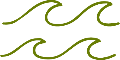 Wave Vector