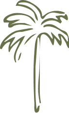 tree vector
